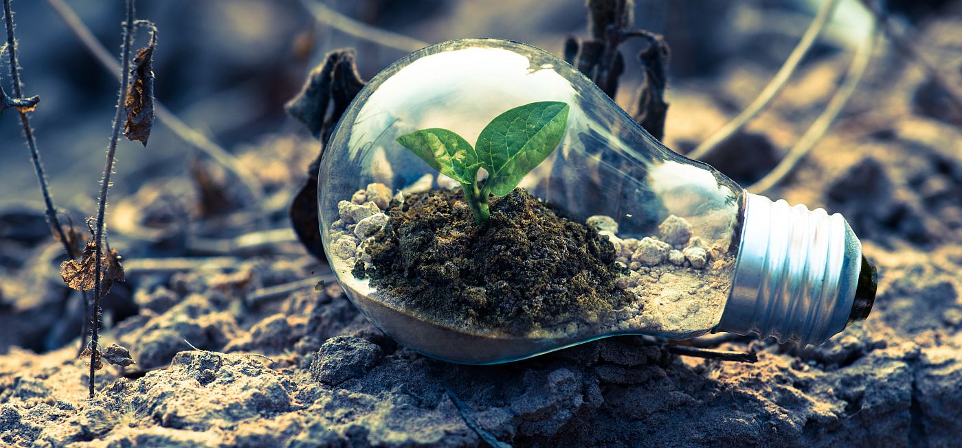 green-bulb-recycling